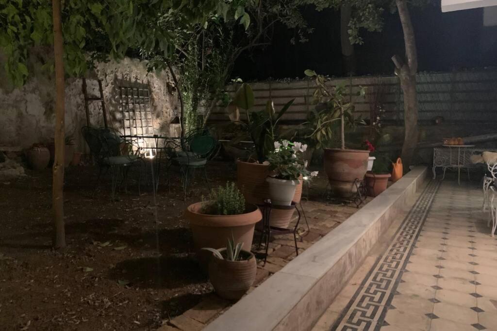 Quiet And Central Flat With Private Backyard Garden Athén Kültér fotó