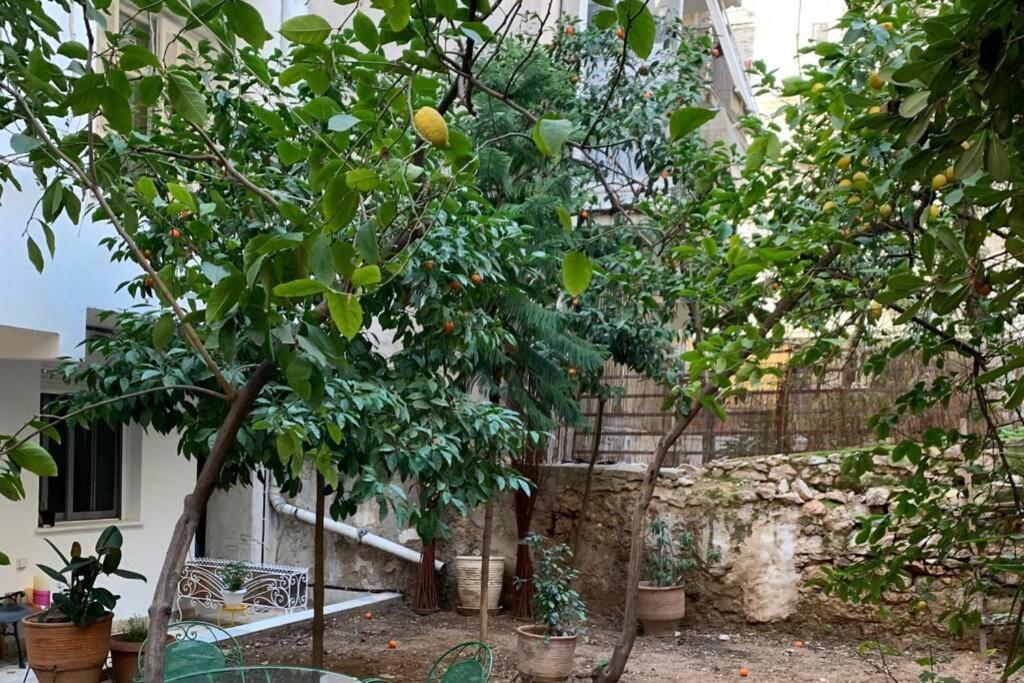 Quiet And Central Flat With Private Backyard Garden Athén Kültér fotó